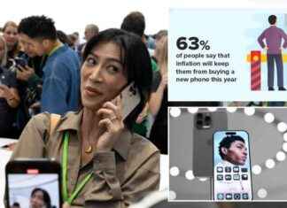 Impact of Inflation on Apple’s iPhone Sales: Survey Findings news-14092024-032956