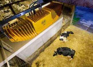 AI Calving Monitor: A Breakthrough in Dairy Farming Technology news-14092024-033047