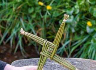 Celebrating the History of St Brigid at Maynooth University: A Two-Day Event news-14092024-033456