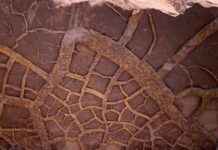 Impact of Mega El Niño Events on Earth’s Greatest Mass Extinction news-14092024-042104