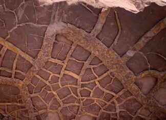 Impact of Mega El Niño Events on Earth’s Greatest Mass Extinction news-14092024-042104