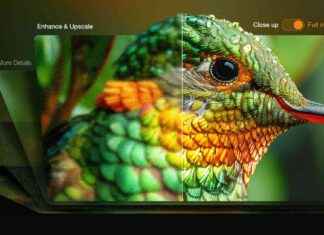 Enhance Images by 800% with Aiarty Image Enhancer: Real Details & Quality Boost news-14092024-090745