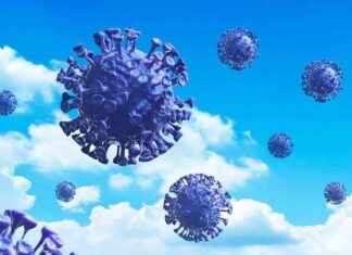 How Microbes Travel Long Distances Through the Air – Earth.com news-14092024-101246