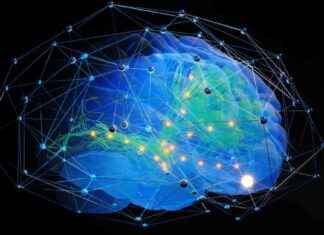 Identifying Brain Patterns for Specific Behavior Using AI – USC Viterbi Engineering news-14092024-104850