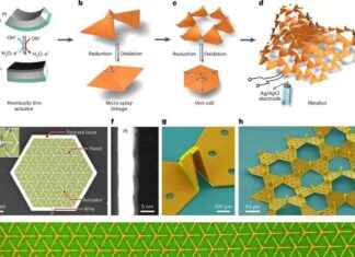Microscale Robots: Folding into 3D Shapes and Crawling news-14092024-130327