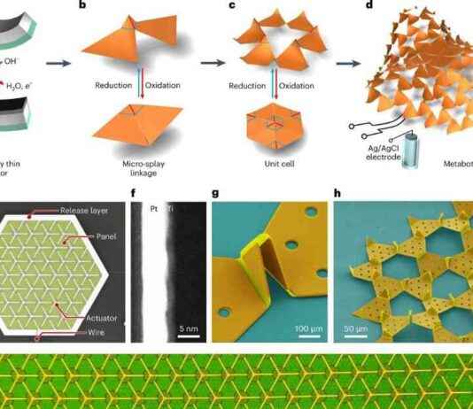 Microscale Robots: Folding into 3D Shapes and Crawling news-14092024-130327