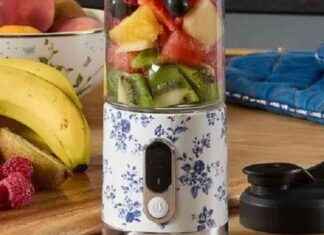 Stylish Cordless Floral Personal Blender: A Convenient Kitchen Appliance news-17092024-101807