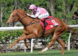 Atzeni guiding Maverick can be punters’ top choice – CityAM news-17092024-192949