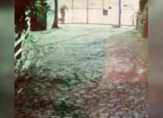 Protect Your Pets: Prevent Fox Attacks at Rotherhithe Farm news-18092024-175939