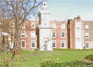 Empowering Seniors: Purple Parade for Visibility and Advocacy news-18092024-220202