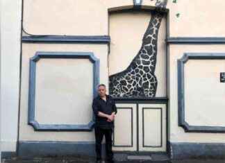 TV Magician Claims Banksy-Like Giraffe Painting Outside Walworth Home news-19092024-000212