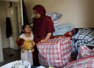 Health Risks of Mould and Bug Infestation in Estates: How to Improve Indoor Air Quality news-20092024-042656