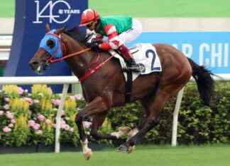 Chiu Chow Harnesses Spirit of Retiring Golden Sixty for Success news-20092024-191636