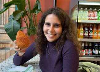 Giant Arancini Balls: A Unique Experience at a Local Shop news-21092024-050008