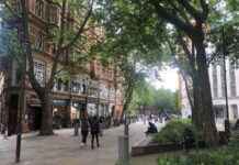 Exploring London Society with Dave Hill: A Podcast Documentary news-21092024-155107