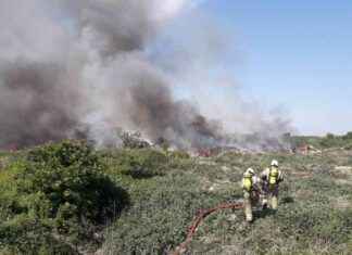 Legal action threatened against council for repeated fires: What you need to know news-21092024-161305