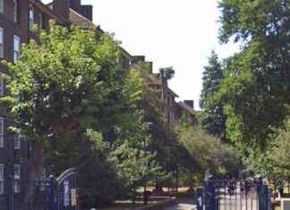 Knife Attack in South London Sends Man to Hospital – Latest News & Updates news-21092024-231801