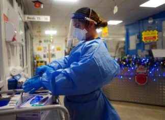 Title: Concerns Over Rapid Spread of XEC Covid Variant Due to Prolonged Vaccine Gap news-21092024-232123