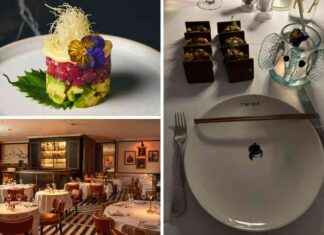 Unique Dining Experience on London’s Prestigious Street: Unmatched Menu Selection news-21092024-232252