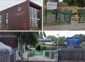 Croydon Primary School Ratings: Ofsted Abandons Grading System news-22092024-092938