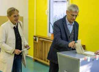 Social Democrats in Brandenburg State Election: Defending Against Far Right news-22092024-133113