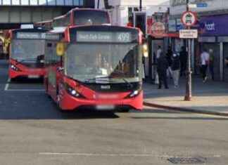 Improving Bus Route Efficiency for Schoolchildren: Seeking Public Input news-22092024-173529