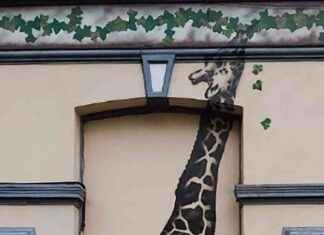 ‘Channel 4 Magician’s South London House Gets Possible Banksy Art’ news-22092024-233700