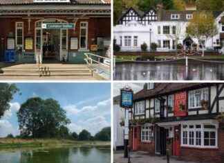 Discover the Best Parks and Pub in South London – A Hidden Gem news-23092024-014356