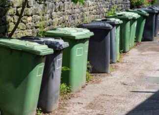 Avoiding Penalties: Understanding the Wheelie Bin Rule for Households to Prevent £80 Fines news-23092024-054545