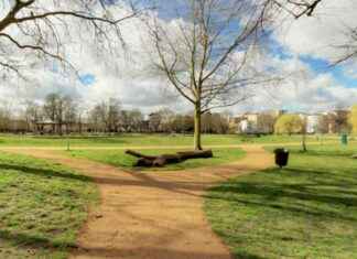 Best Affordable Streets to Buy a Home in Croydon news-23092024-100749