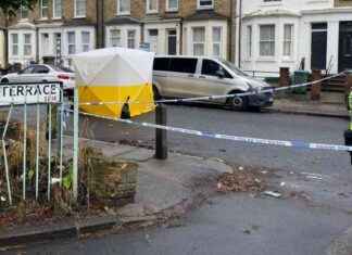 Weekend Violence: Boy Murdered, Man Found Dead, 4 Stabbed news-23092024-183507