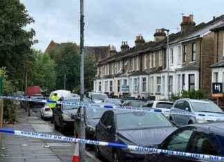 Crime Scene Investigation: Boy Stabbed to Death in Woolwich news-24092024-081848