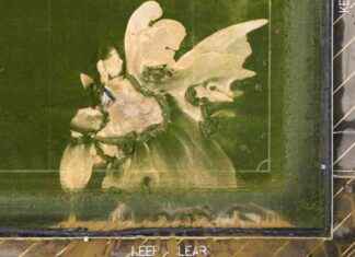 Newcastle United Donates to AFC Wimbledon for Plough Lane Flooding Relief news-24092024-163125