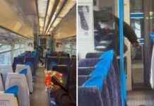 Teen found not guilty in Beckenham train stabbing case news-24092024-163443
