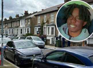 Teen Stabbed to Death in Woolwich: Two Arrested news-24092024-183945