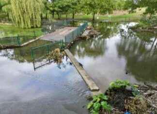 Investigation Launched into Flooding at Hornchurch Park news-24092024-230443