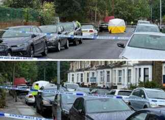 Fatal Stabbing Spree Leaves Schoolboy Dead and Four Others Injured in London news-26092024-010659