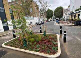 Transformed Dumping Ground Next to Pub Becomes Pleasant Oasis news-26092024-092526