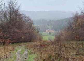 Charming Autumn Walk near London with Cozy Pub: Perfect Day Trip! news-27092024-110154