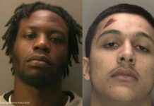 Burglars Caught After Crashing Getaway Car: Home Invasion Arrests news-27092024-132341