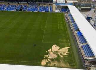 JustGiving Page Paused as AFC Wimbledon’s Plough Lane Flood Donations Reach £100k news-27092024-175944