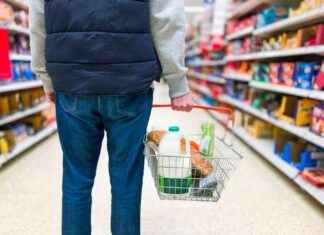 Alert: Essential Grocery Items at Risk in Convenience Stores news-28092024-002457