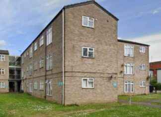 Five Arrests Made in Connection with Stabbing Death of London Teenager in Norwich news-28092024-023713