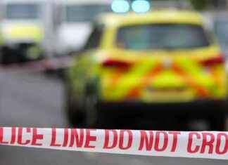 Tragic Death of 8-Year-Old Boy Shot on Farm news-29092024-134248