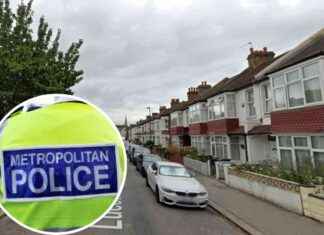 Police Respond to Reports of Gunshots in Thornton Heath news-29092024-134618
