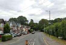 Elderly Man, 82, Dies 5 Days After Attack in Murder Probe: Latest Updates news-29092024-214714