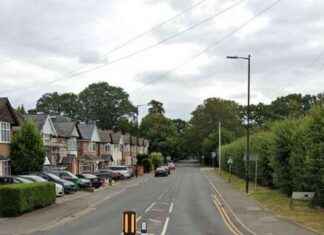 Elderly Man, 82, Dies 5 Days After Attack in Murder Probe: Latest Updates news-29092024-214714