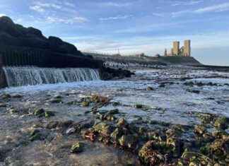 Top 24 Kent Walking Trails to Explore in 2024 news-30092024-015329