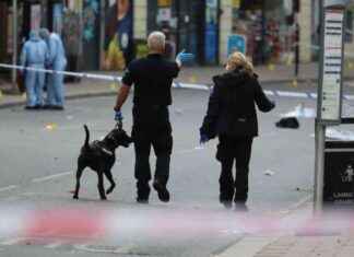 Man, 24, Dead After Triple Stabbing Incident: Victim Still Hospitalized news-30092024-160359