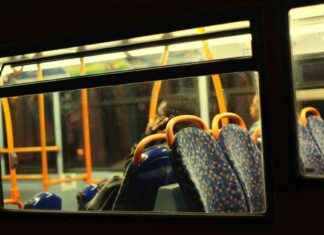 Convenient Night Bus Services in Hertfordshire, Surrey, and Kent news-30092024-200633